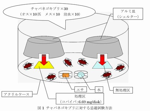 図1