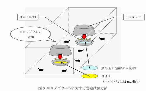 図3